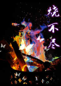 烧不尽广播剧报幕